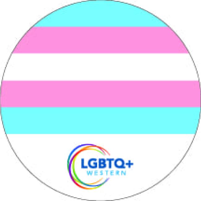 Transgender Flag (aqua, pink, white, pink, aqua stripes)